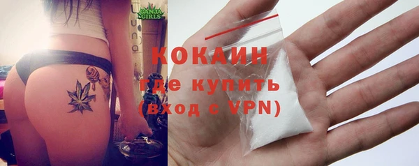 крисы Дмитров