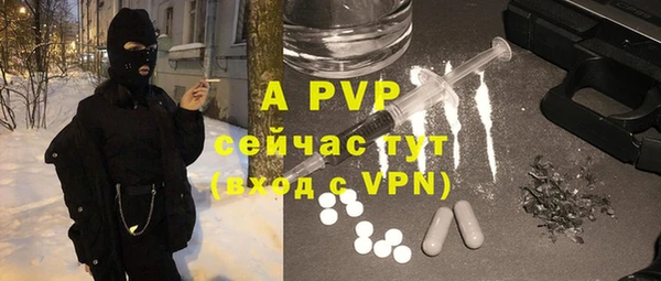 крисы Дмитров