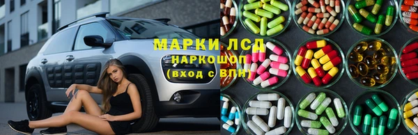 крисы Дмитров
