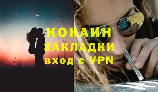 крисы Дмитров