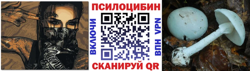 Галлюциногенные грибы мицелий  наркошоп  Обнинск 